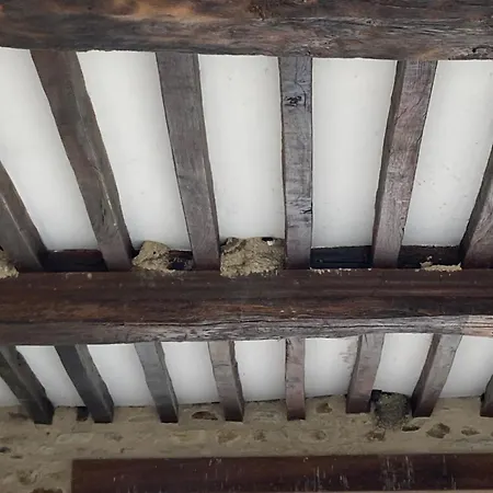 مكان تخييم Domaine De En Normandie